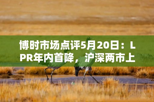 博时市场点评5月20日：LPR年内首降，沪深两市上涨
