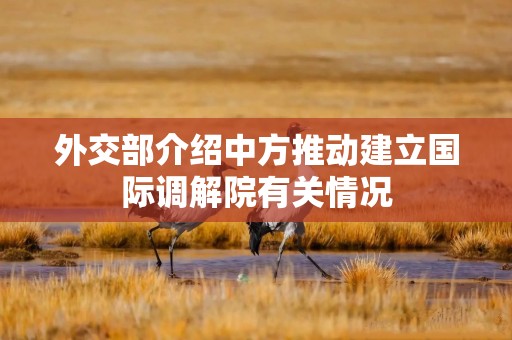 外交部介绍中方推动建立国际调解院有关情况