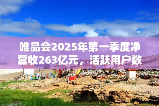 唯品会2025年第一季度净营收263亿元，活跃用户数4130万
