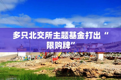 多只北交所主题基金打出“限购牌”
