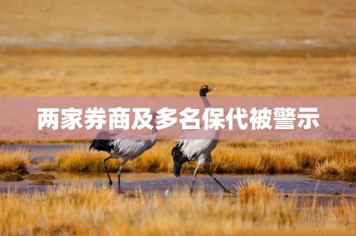 两家券商及多名保代被警示