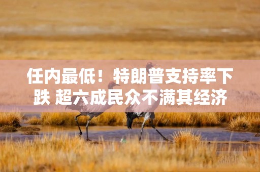 任内最低！特朗普支持率下跌 超六成民众不满其经济表现