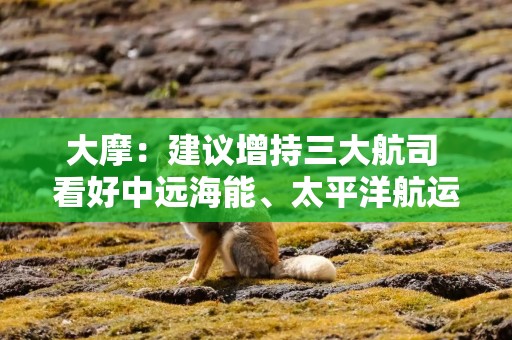 大摩：建议增持三大航司 看好中远海能、太平洋航运