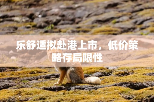 乐舒适拟赴港上市，低价策略存局限性