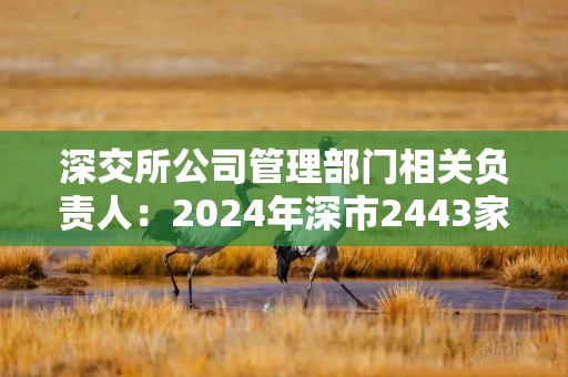 深交所公司管理部门相关负责人：2024年深市2443家上市公司累计分红5753亿元 持续加强投资者回报意识