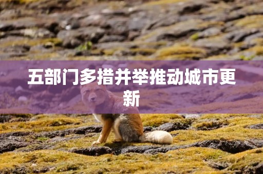 五部门多措并举推动城市更新