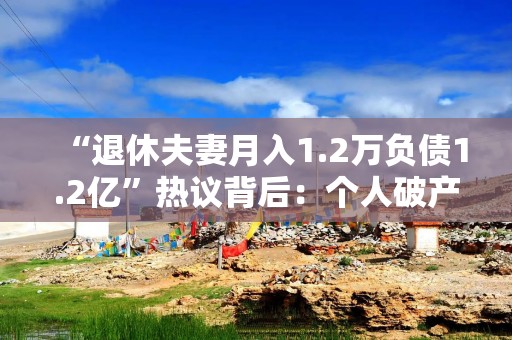 “退休夫妻月入1.2万负债1.2亿”热议背后：个人破产制度还有多远？