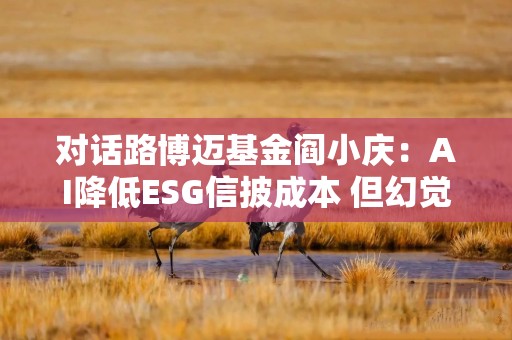 对话路博迈基金阎小庆：AI降低ESG信披成本 但幻觉问题不容忽视