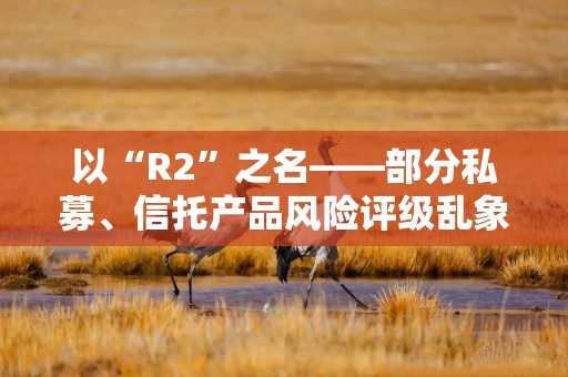 以“R2”之名——部分私募、信托产品风险评级乱象何解