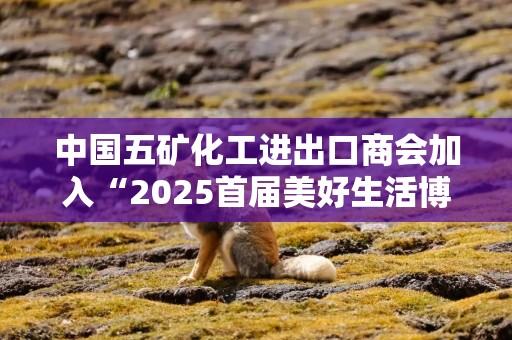 中国五矿化工进出口商会加入“2025首届美好生活博览会”，成为支持单位