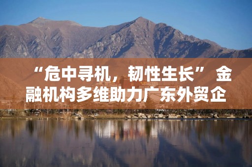 “危中寻机，韧性生长” 金融机构多维助力广东外贸企业