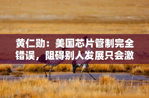 黄仁勋：美国芯片管制完全错误，阻碍别人发展只会激励他们更努力