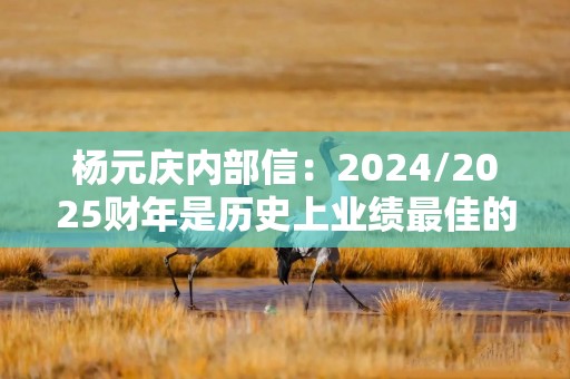 杨元庆内部信：2024/2025财年是历史上业绩最佳的年份之一，我们有信心持续加强在各个市场的竞争力