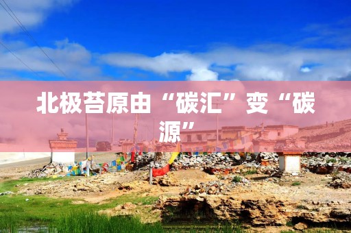 北极苔原由“碳汇”变“碳源”