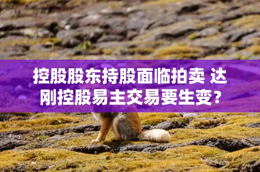 控股股东持股面临拍卖 达刚控股易主交易要生变？