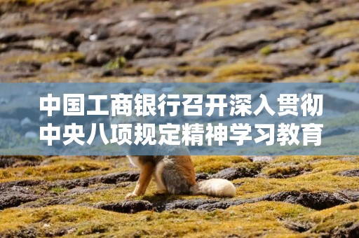 中国工商银行召开深入贯彻中央八项规定精神学习教育工作推进会