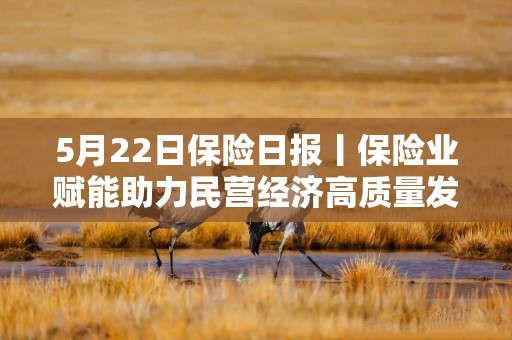 5月22日保险日报丨保险业赋能助力民营经济高质量发展，保险预定利率或将下调，险企一手抓销售一手备新品