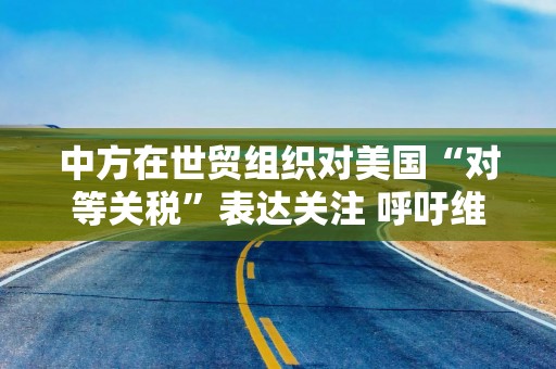 中方在世贸组织对美国“对等关税”表达关注 呼吁维护多边主义