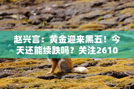 赵兴言：黄金迎来黑五！今天还能续跌吗？关注2610！