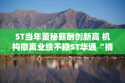 ST当年董秘薪酬创新高 机构撤离业绩不稳ST华通“摘帽”之路还有多远