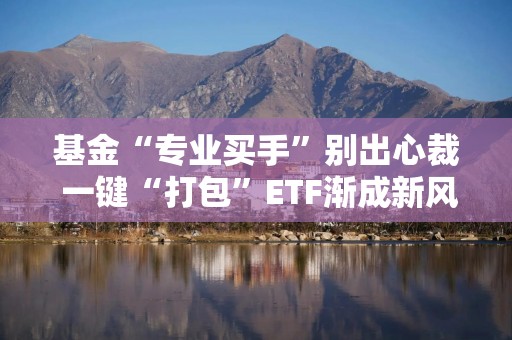 基金“专业买手”别出心裁 一键“打包”ETF渐成新风尚