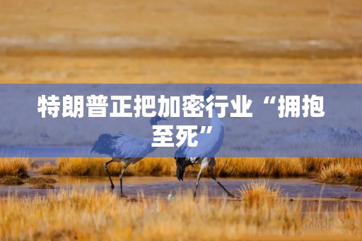 特朗普正把加密行业“拥抱至死”
