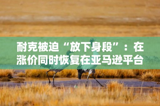 耐克被迫“放下身段”：在涨价同时恢复在亚马逊平台的售卖！