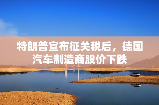 特朗普宣布征关税后，德国汽车制造商股价下跌