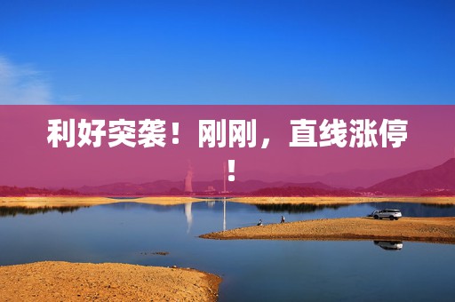 利好突袭！刚刚，直线涨停！