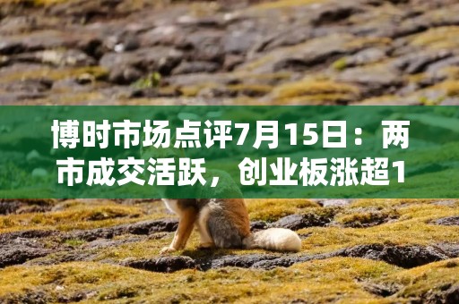博时市场点评7月15日：两市成交活跃，创业板涨超1.7%