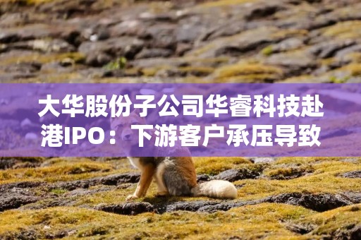 大华股份子公司华睿科技赴港IPO：下游客户承压导致去年业绩下滑，与竞争对手海康机器人差距大