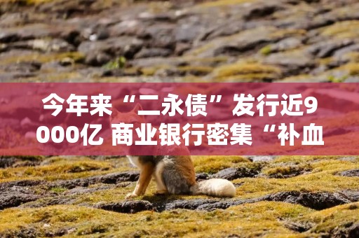 今年来“二永债”发行近9000亿 商业银行密集“补血”