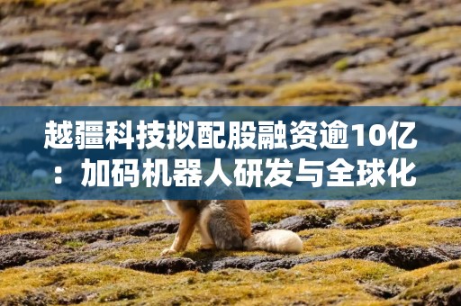 越疆科技拟配股融资逾10亿：加码机器人研发与全球化布局