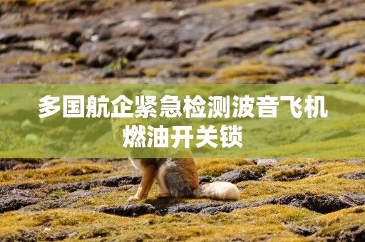 多国航企紧急检测波音飞机燃油开关锁