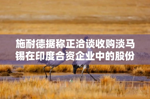 施耐德据称正洽谈收购淡马锡在印度合资企业中的股份