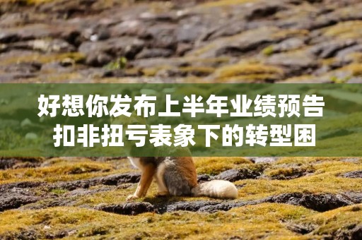 好想你发布上半年业绩预告 扣非扭亏表象下的转型困局