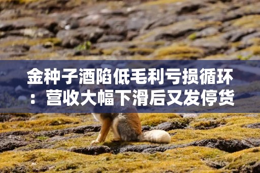 金种子酒陷低毛利亏损循环：营收大幅下滑后又发停货通知 华润系高管黯然离职