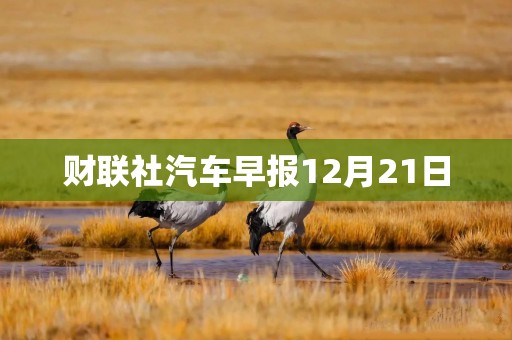 财联社汽车早报12月21日