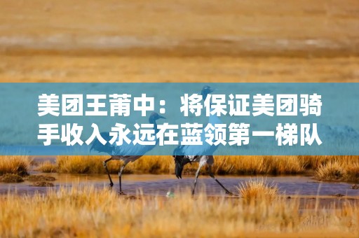 美团王莆中：将保证美团骑手收入永远在蓝领第一梯队
