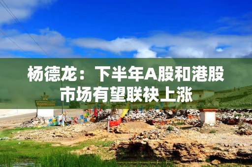 杨德龙：下半年A股和港股市场有望联袂上涨