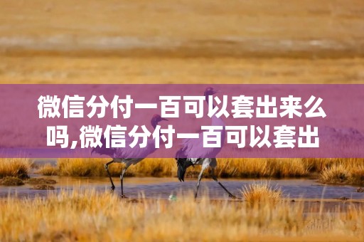 微信分付一百可以套出来么吗,微信分付一百可以套出来么？