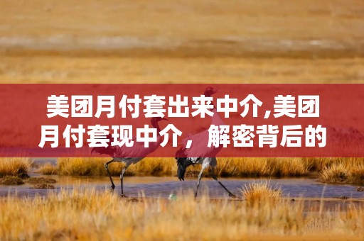 美团月付套出来中介,美团月付套现中介，解密背后的风险与利益