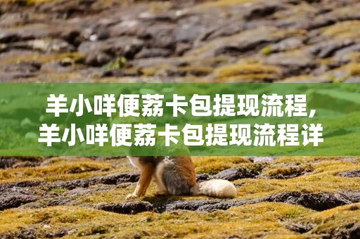 羊小咩便荔卡包提现流程,羊小咩便荔卡包提现流程详解