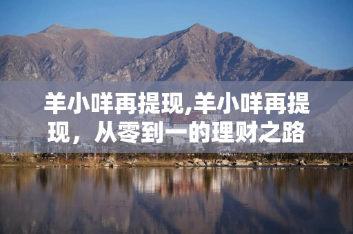 羊小咩再提现,羊小咩再提现，从零到一的理财之路
