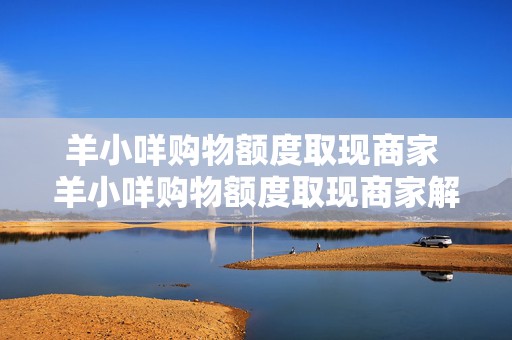 羊小咩购物额度取现商家 羊小咩购物额度取现商家解析，操作指南与实用案例探讨
