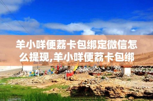 羊小咩便荔卡包绑定微信怎么提现,羊小咩便荔卡包绑定微信提现攻略