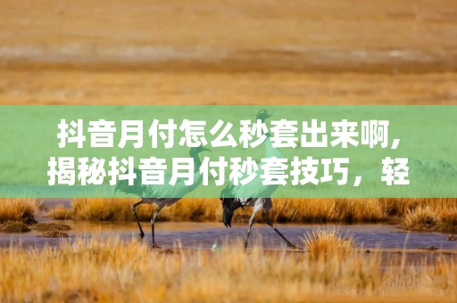 抖音月付怎么秒套出来啊,揭秘抖音月付秒套技巧，轻松实现资金自由