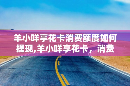 羊小咩享花卡消费额度如何提现,羊小咩享花卡，消费额度如何提现？一文教你轻松搞定