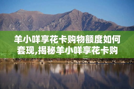 羊小咩享花卡购物额度如何套现,揭秘羊小咩享花卡购物额度套现的内幕与风险