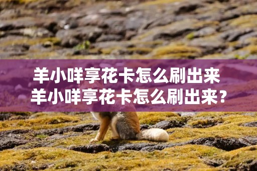 羊小咩享花卡怎么刷出来 羊小咩享花卡怎么刷出来？